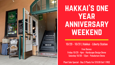Hakkai's One Year Birthday Weekend Event + Free Demos