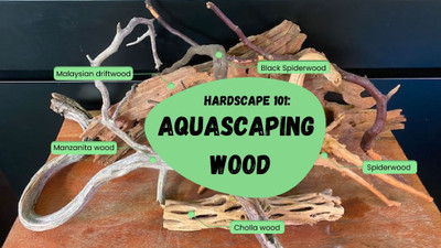 Hardscape 101: Aquascaping Wood