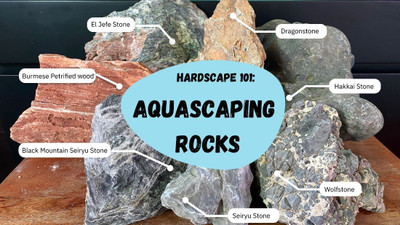 Hardscape 101: Aquascaping Rocks