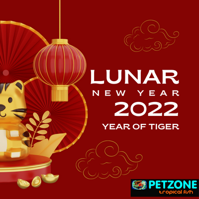 Lunar New Year of The Tiger 2022 