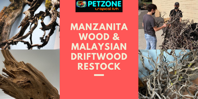 Tom Barr's Manzanita Wood + Malaysian Driftwood Restock!