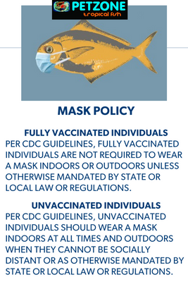 Mask Policy At Pet Zone SD With California June 15th Reopening & Mask Mandate Lift