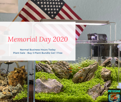 Memorial Day 2021 Business Hours & Sale At Pet Zone SD