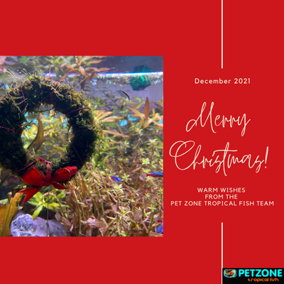 Happy Holidays From The Pet Zone SD Team!