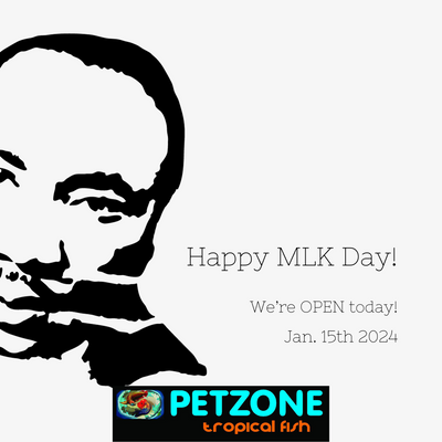 Celebrate MLK Day! Pet Zone SD Welcomes You 