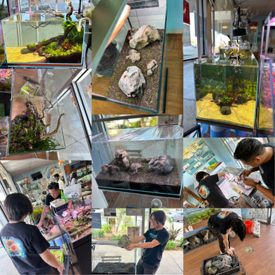 Pet Zone SD's Convoy District Location Undergoes a Stunning Aquarium Makeover!