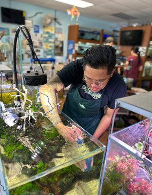 ​Teammate Spotlight: Rophael, The Multi-Talented Aquascaper 