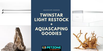 Restock On Twinstar LED Lights + Aquascaping Goodies
