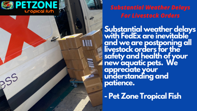 Substantial Weather Delays With FedEx For Livestock Orders 