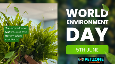 World Environment Day - How Pet Zone SD & Aquarium Hobbyists Can Make An Impact!