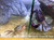 Thai Devil Crab Thai Devil Crab