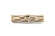 Cholla Driftwood (Pack of 5)