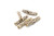 Cholla Driftwood (Pack of 5)