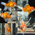 Oranda Goldfish, Assorted RED & WHITE