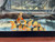 Clown Loach - 2-3 inches Clown Loach - 2-3 inches