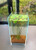 DOOA NEO GLASS AIR W30XD30XH45CM W/6MM GLASS  DOOA NEO GLASS AIR W30XD30XH45CM W/6MM GLASS