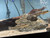 Crazy Fish (Butis butis) Crazy Fish (Butis butis)