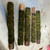 Java Moss Bamboo Stick