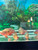 Short Body Red Jewel Cichlid Short Body Red Jewel Cichlid