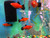 Redwag Platy Redwag Platy