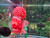 Super Red Dragon ZZ Flowerhorn - PP9 Super Red Dragon ZZ Flowerhorn - PP9
