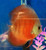Rose Red Discus