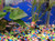 Rummynose Tetra - Hemigrammus rhodostomus Rummynose Tetra - Hemigrammus rhodostomus