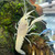 Snow White Lobster - Procambarus Clarkii sp. Snow White Lobster - Procambarus Clarkii sp.