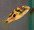Malabar Dwarf Puffer (Pea Puffer) Malabar Dwarf Puffer (Pea Puffer)