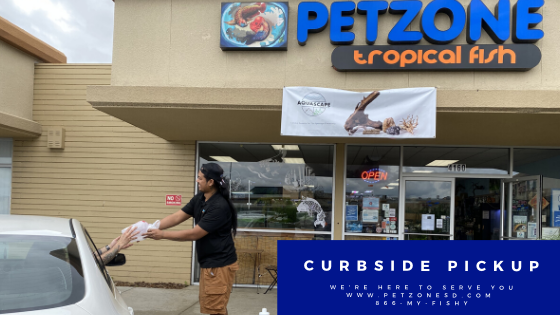 tropical fish stores