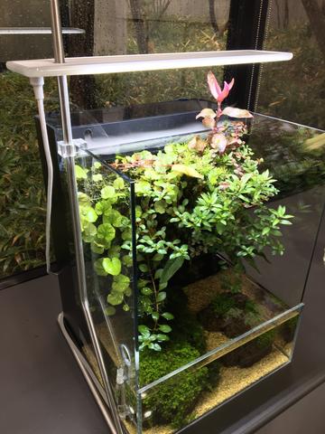 水槽 DOOA SYSTEM TERRA 30 MISTFLOW SET DOOASystemterra30_SolstandRGB_