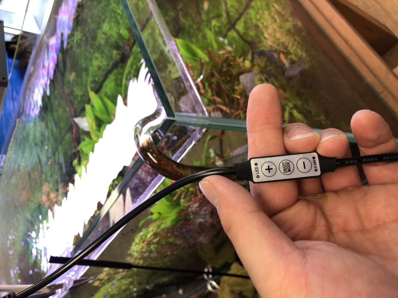 Freshwater Planted Aquarium Light Twinstar LED Light Dimmer Switch