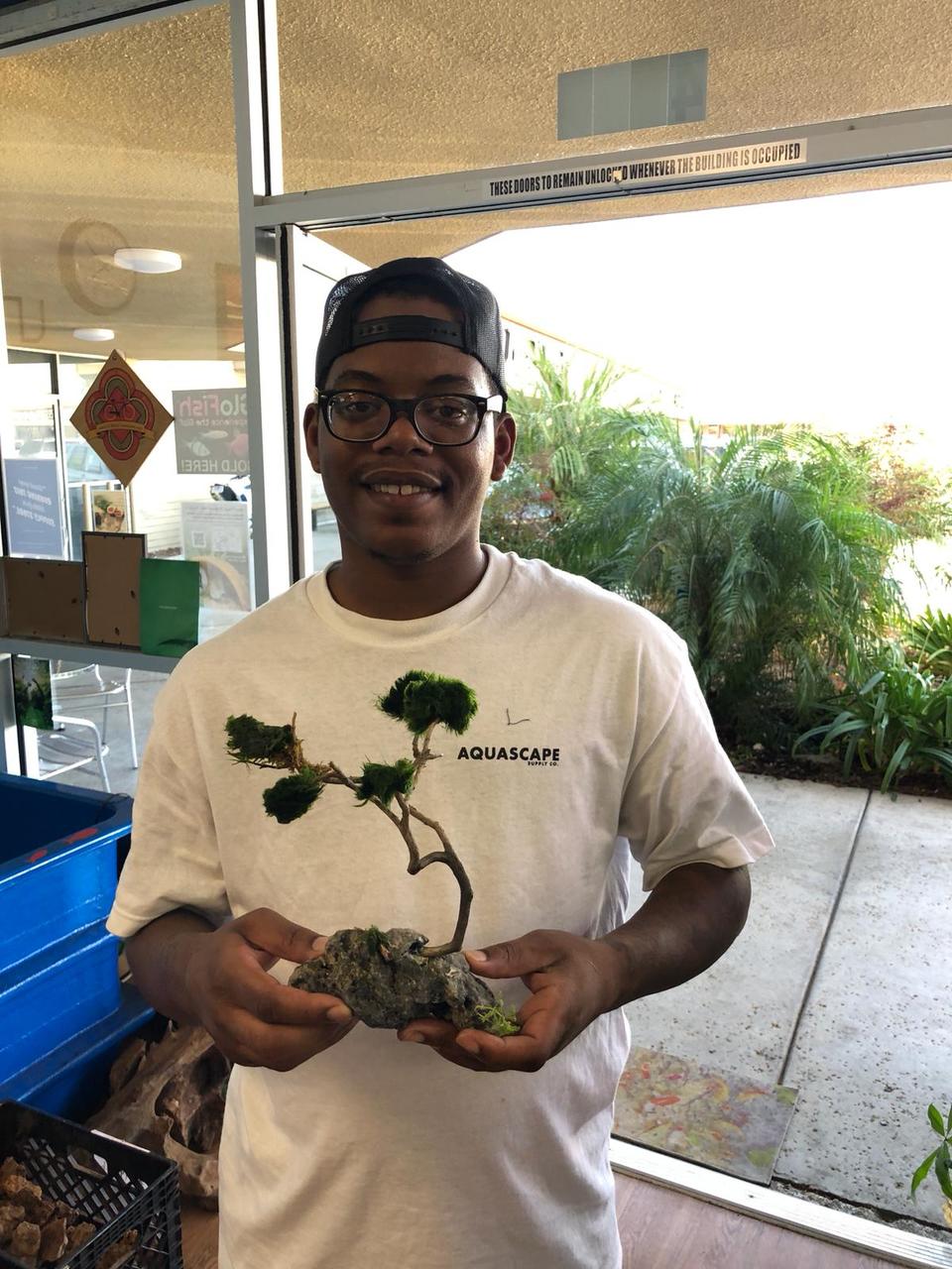 Bonsai Tree Aquascape Workshop Pet Zone Tropical Fish Kearny Mesa