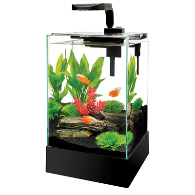 Aquarium Kits For Sale: Aqueon Cue LED Desktop Aquarium, 5 Gallon