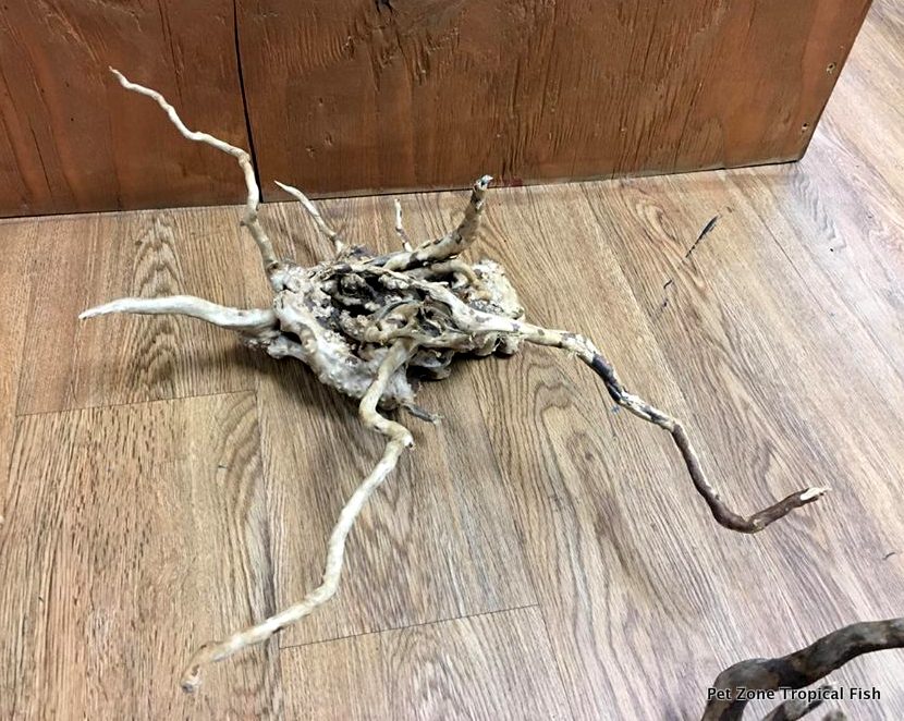 Enhancing Your Freshwater Aquarium with Spiderwood, Teawood Roots, and  Driftwood – AquaSnails