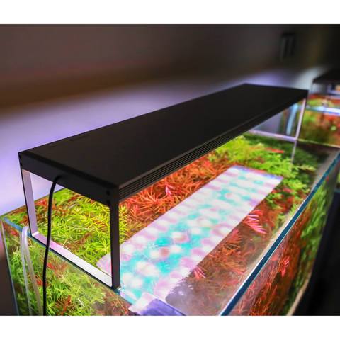 twinstar aquarium light