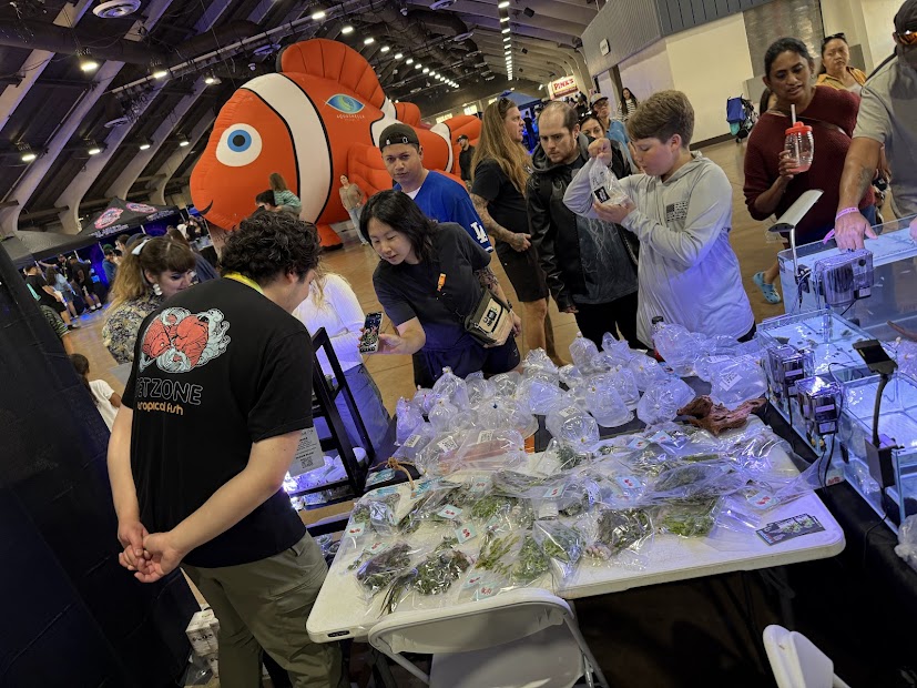 Aquashella Los Angeles 2025 Recap — San Diego Represented Big!