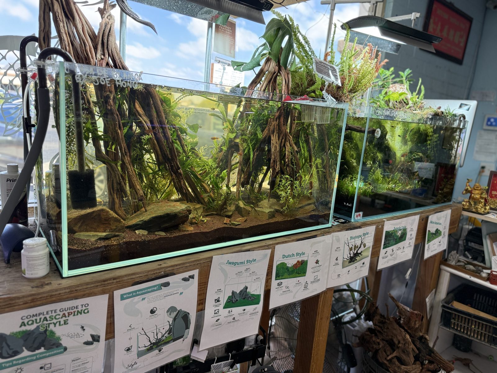 Aquascape display tanks and printed guides to Iwagumi, Dutch and Nature Aquarium styles at Pet Zone Tropical Fish San Diego
