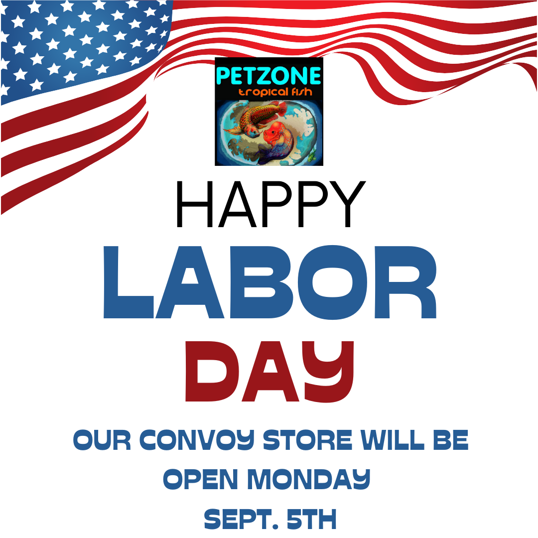 Happy Labor Day Open At Convoy Location Pet Zone SD Pet Zone