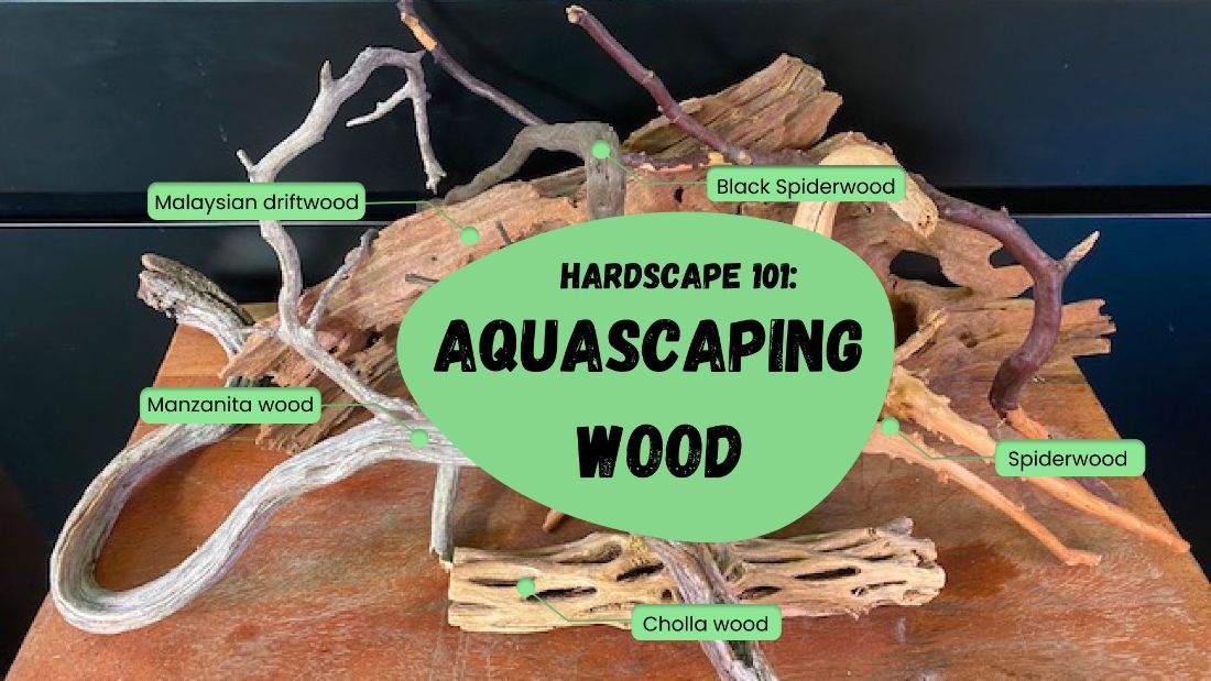 The Hardscape Guide to Spider Wood Driftwood (Azalea Root)