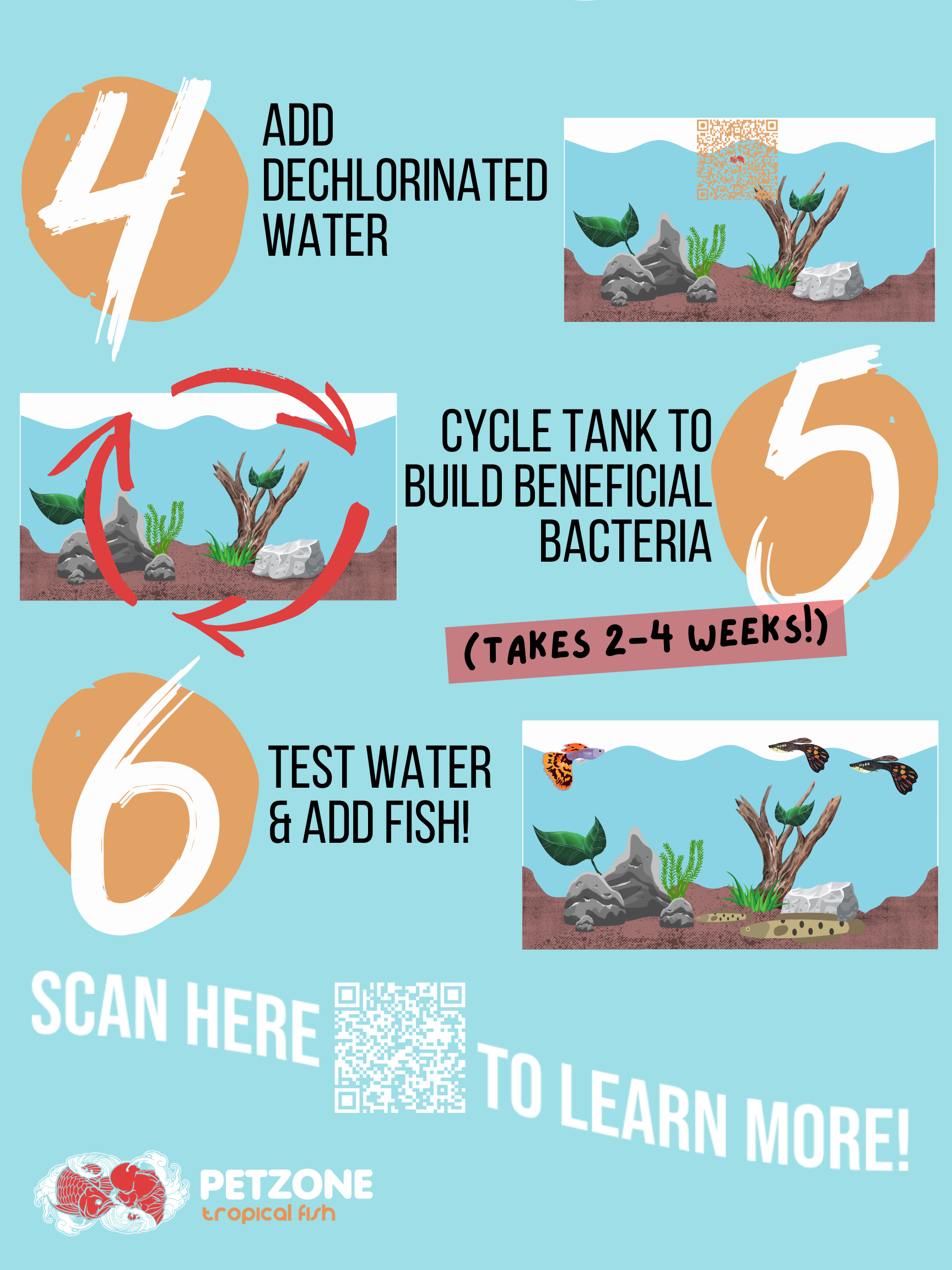 how-to-set-up-a-planted-tank-page-2-pet-zone-sd.png