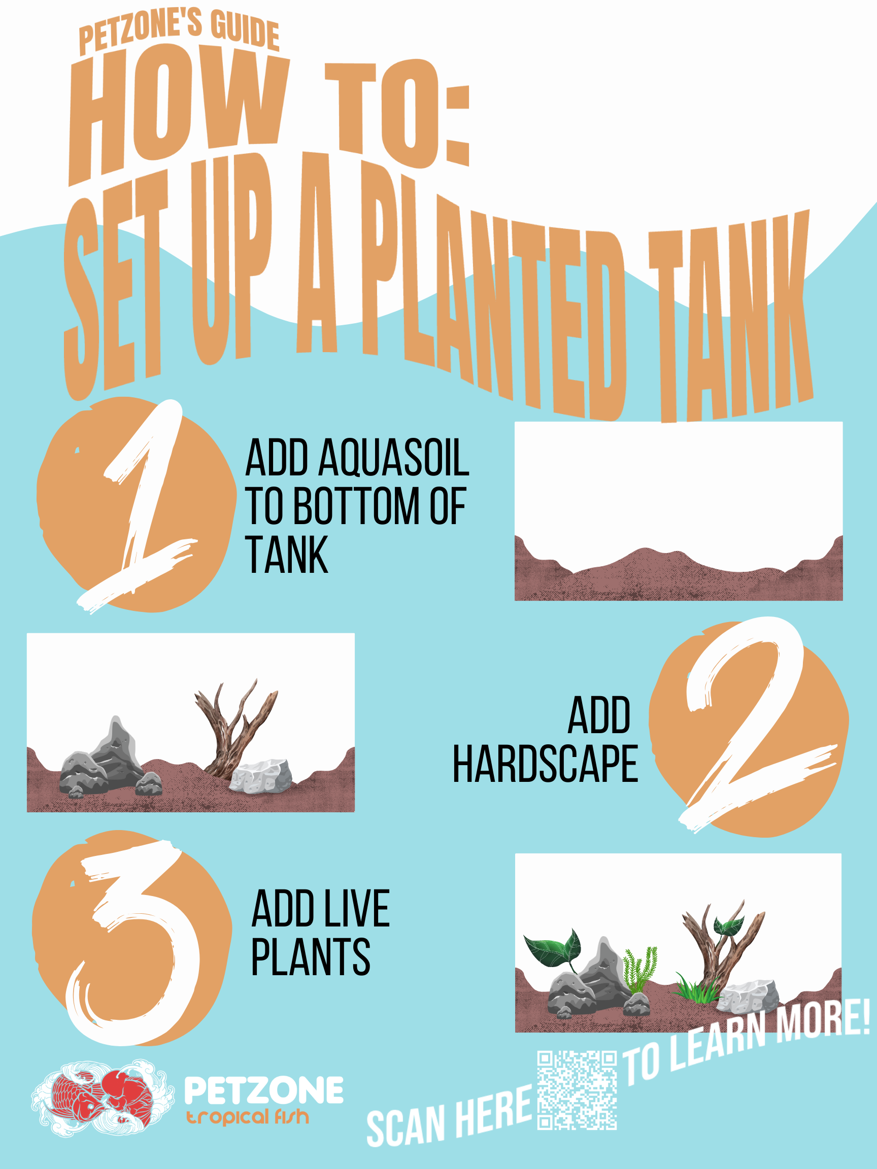 how-to-set-up-a-planted-tank-pet-zone-sd.png