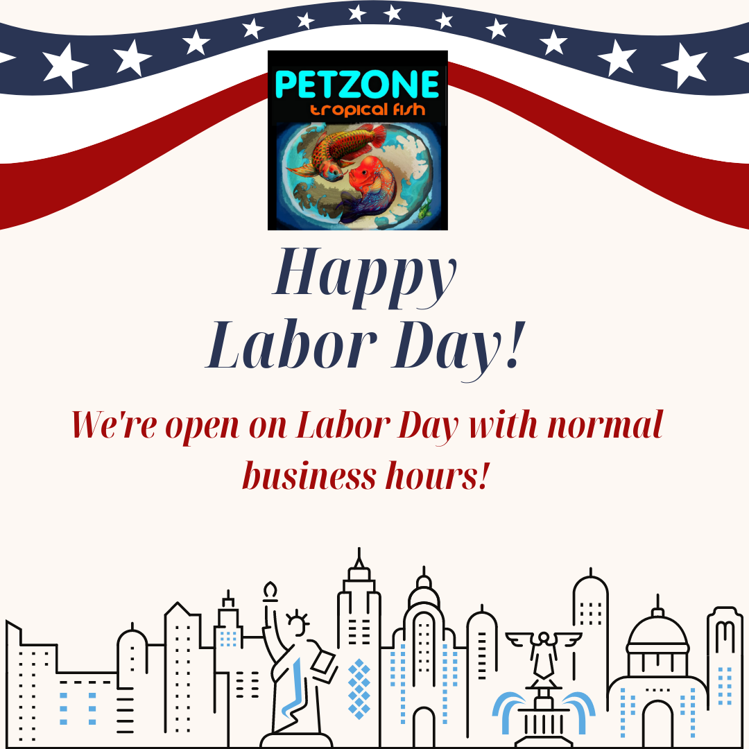 We're Open On Labor Day Aquatic Plant Sale Pet Zone Tropical Fish