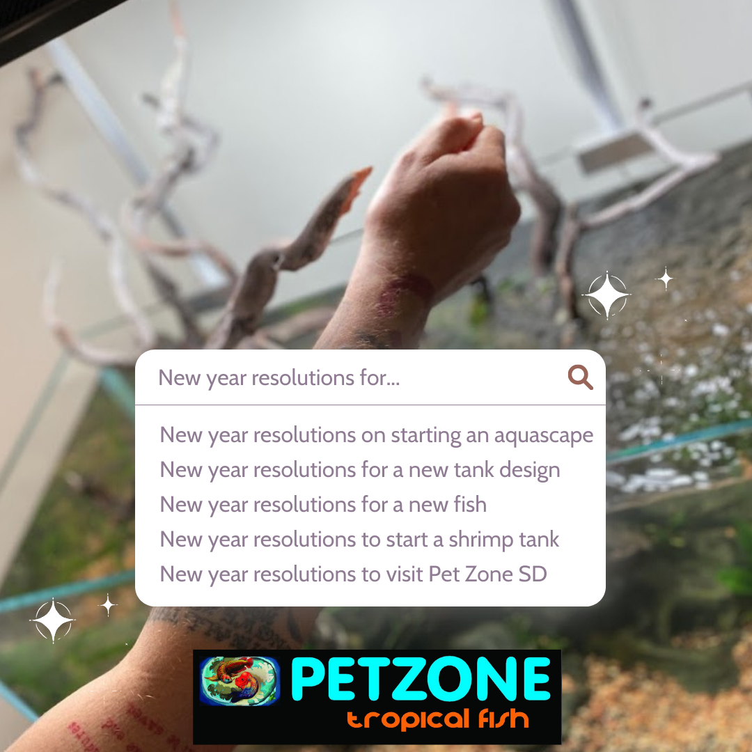 Happy New Year 2022 From The Pet Zone SD Team! Pet Zone Tropical Fish