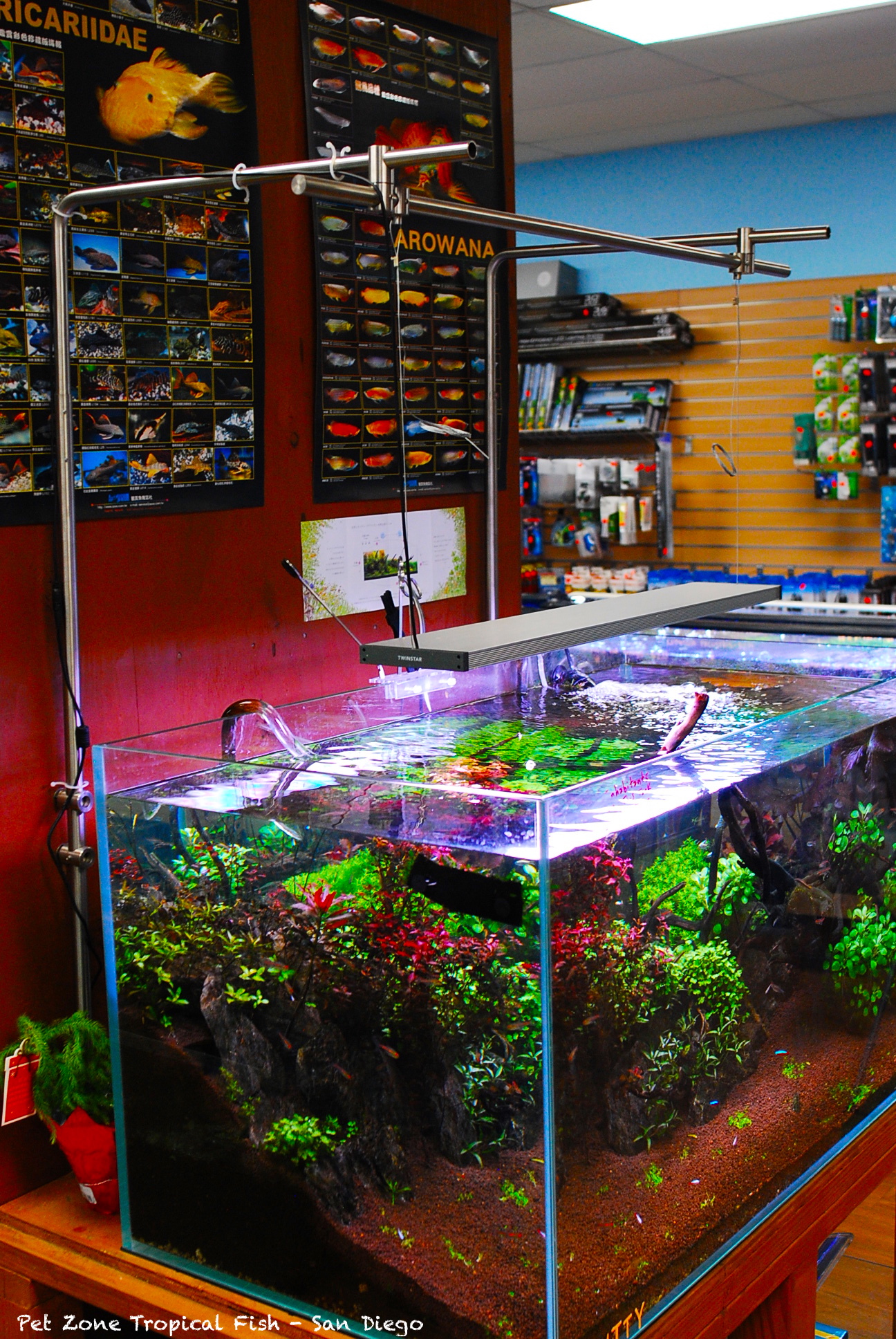 Update On Our 114g Aquascape Planted Tank Build Pet Zone Tropical