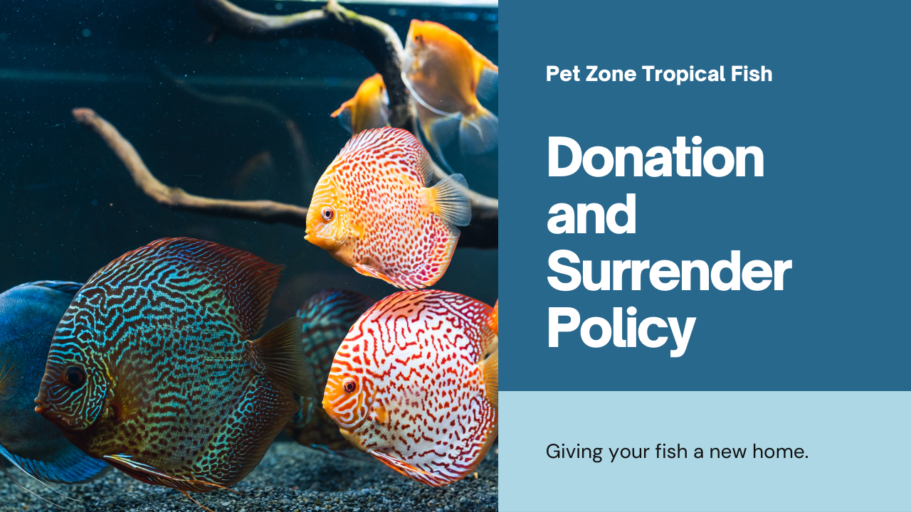 pet-zone-tropical-fish-donation-and-surrender-policy.png