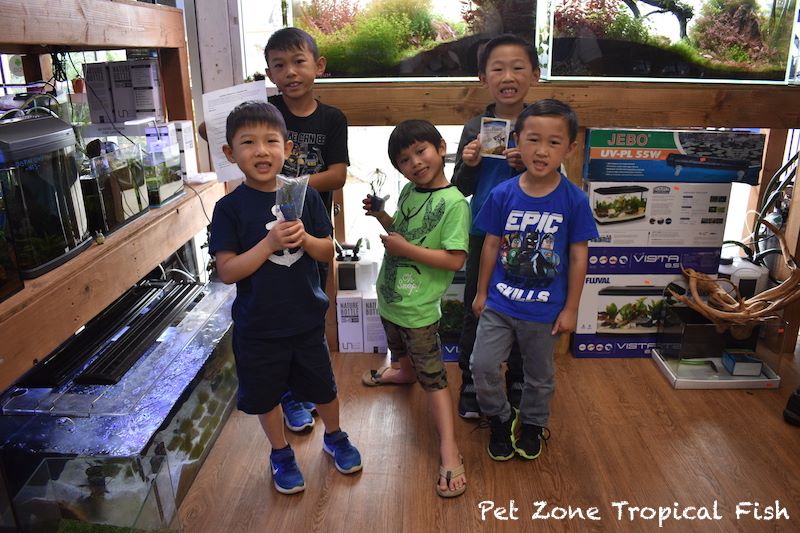 Tropical Fish Scavenger Hunt Back By Popular Demand On A Weekly Basis