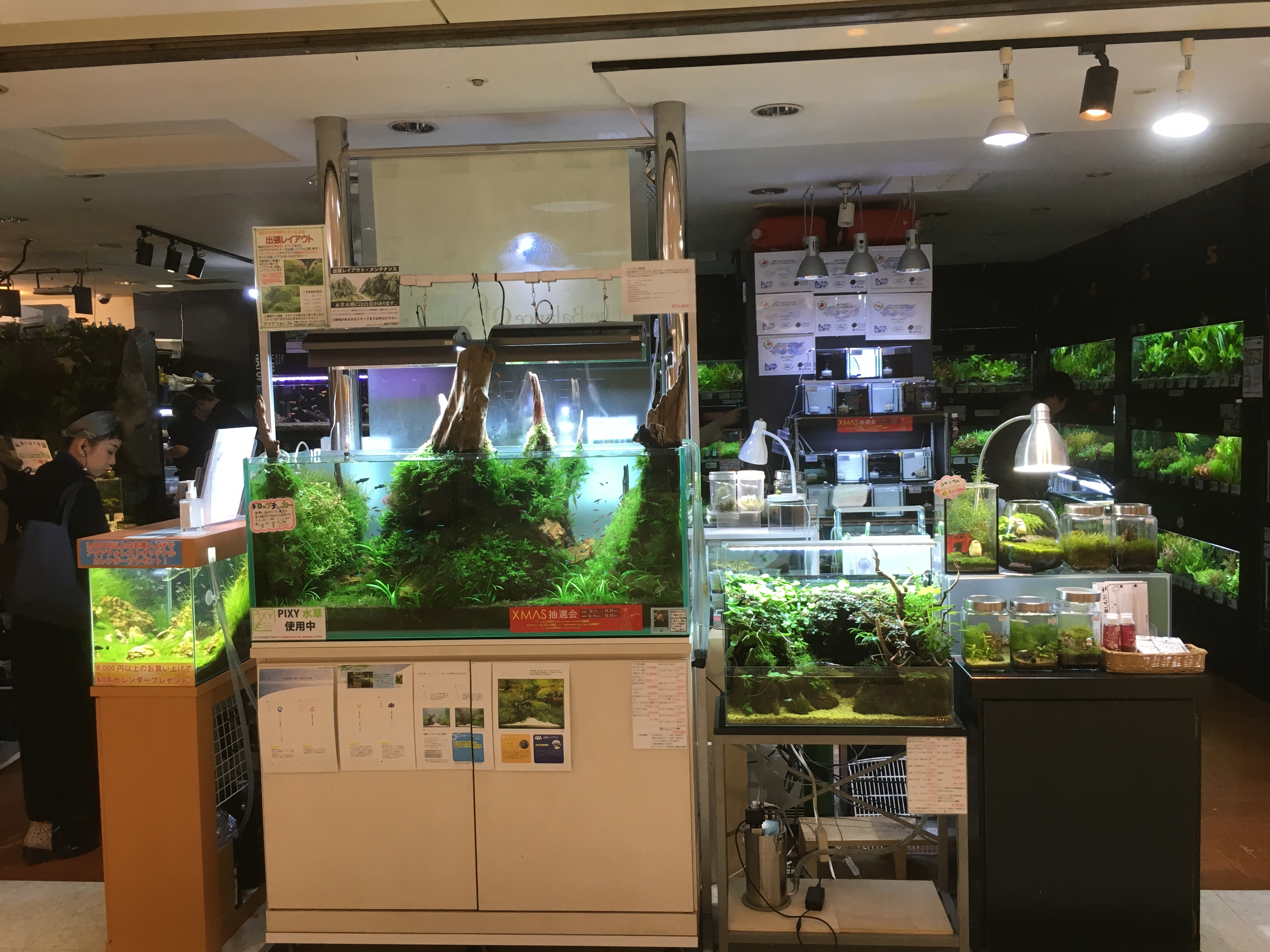 Small Local Fish Store Visited Aquascape Local Fish Stores in Asia! - Pet Zone Tropical Fish ...