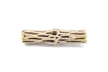 Cholla Driftwood