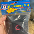 Brine Shrimp Hatchery Kit - San Francisco Bay Brand